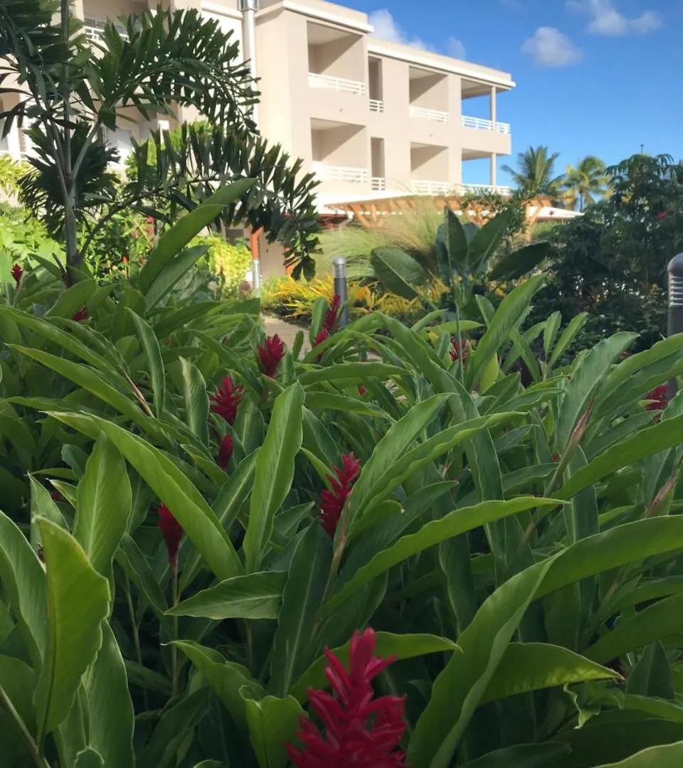Diamant Les Bains - Residence Hoteliere Le Diamant Hotel
